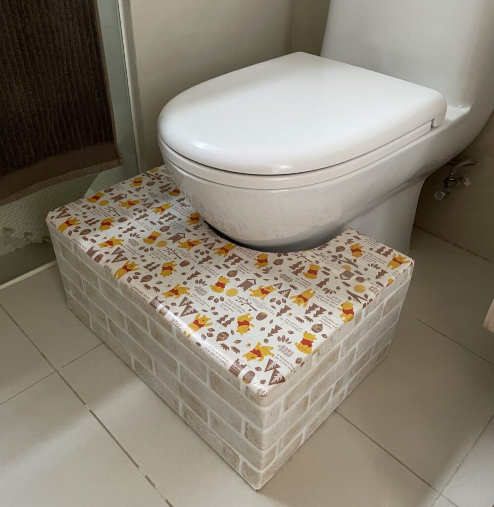 段ボール製トイレステップ完成画像